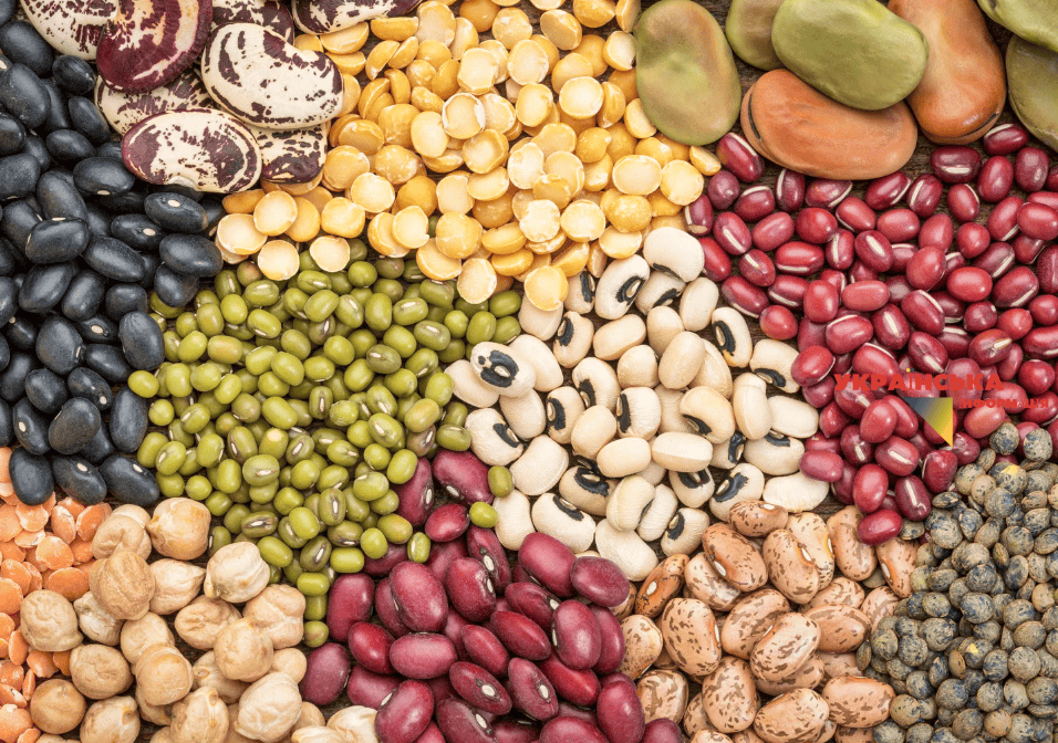 The photo shows different types of legumes which are an excellent source of vegetable protein.