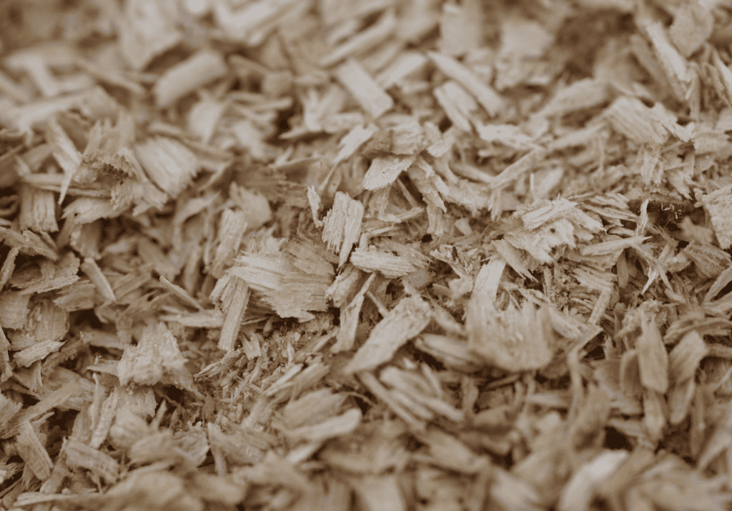 Wood sawdust or ashes are traditionally used to cover the roots of roses in the fall