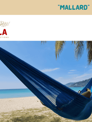 A product shot showing a bright blue woven hammock hanging between palm trees on a sunny white sand beach next to the turquoise ocean. The image includes the brand's "ULA COLLECTIONS" logo, promoting the Mallard hammock for tropical travel and beach relaxation.