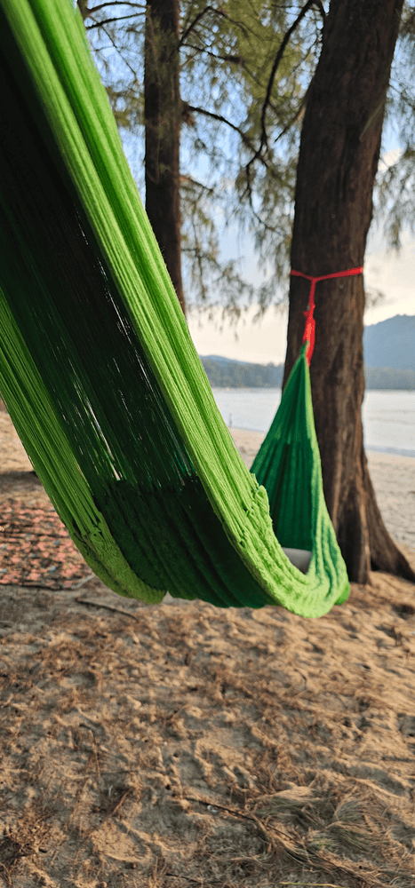 Vibrant Ombre Green rope hammock hanging between two trees on a sandy beach at sunset, with ocean view.