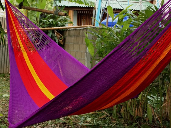 ULA Collections 'Knight' string hammock product image showing wide stripes of purple, red, and yellow on a clean white background.