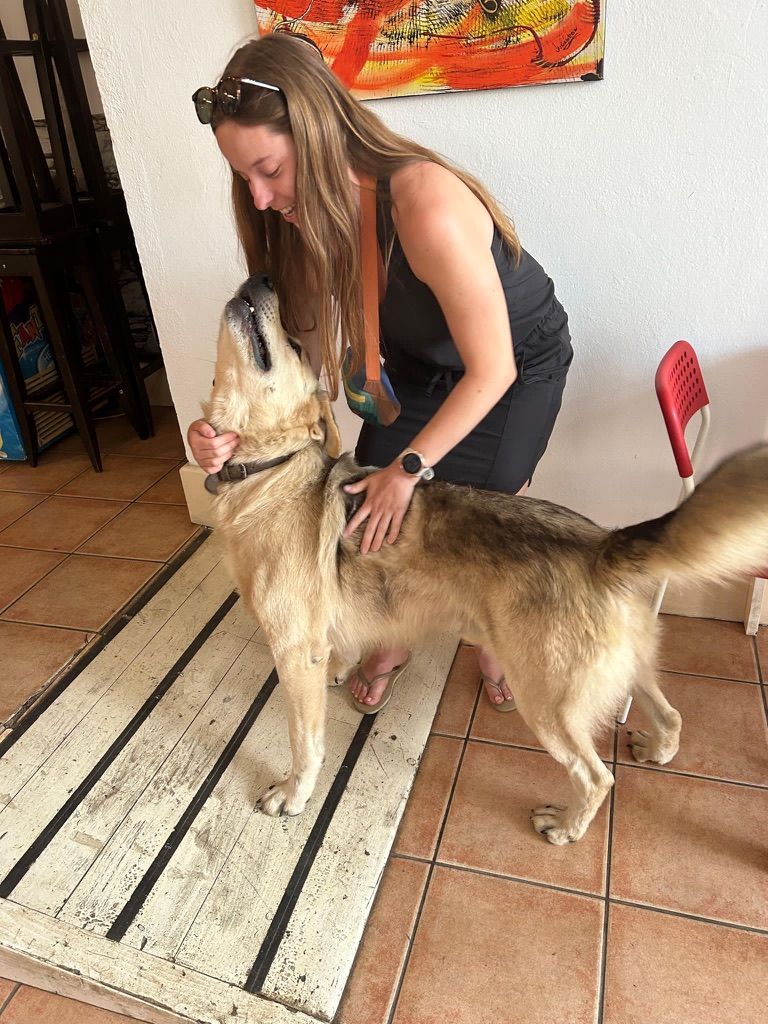 Smiling woman is petting a dog