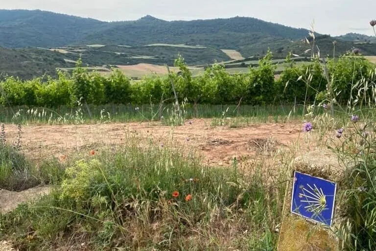 Trail marker with yellow Camino shell symbol alongside a dirt trail with a vineyard and mountains in the distance