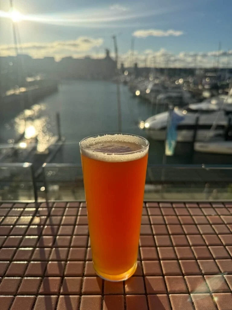 Beer on a rooftop overlooking Viaduct Harbour in Auckland, New Zealand.