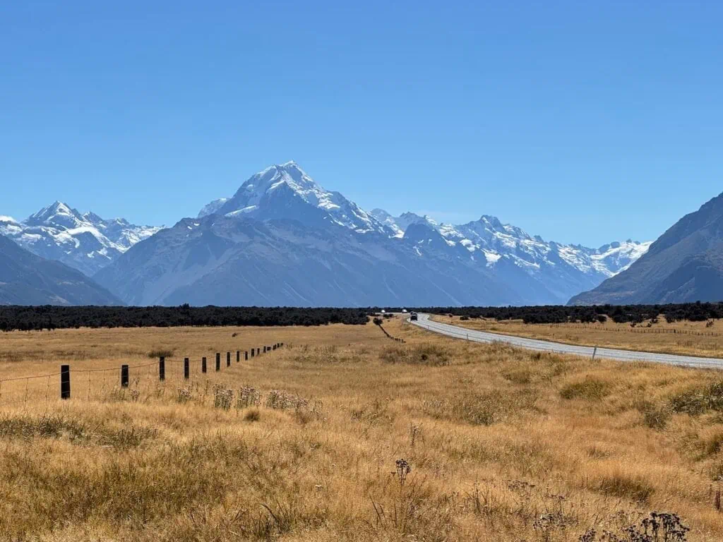 Golden grass and a road leading to a snow-capped Mount Cook in New Zealand.