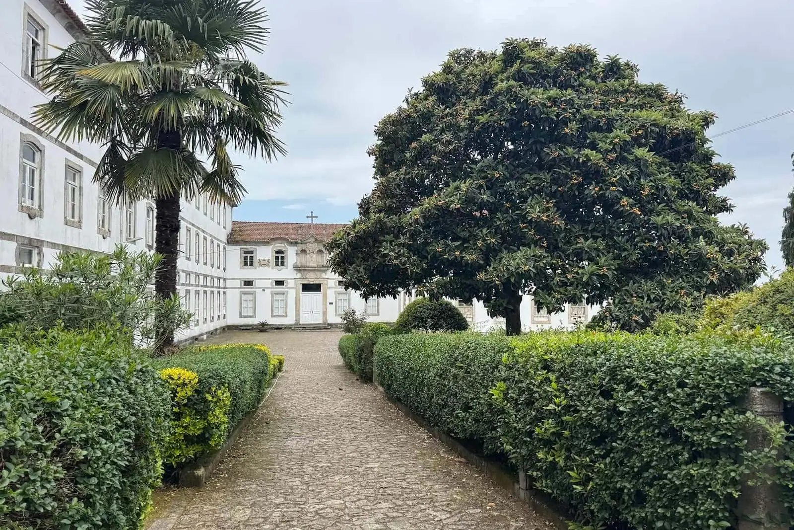 Path leading to a lush green courtyard with a palm tree on the left and a regular tree on the right with the monastery with municipal albergue in the back in Vairão along the Camino Portugués.