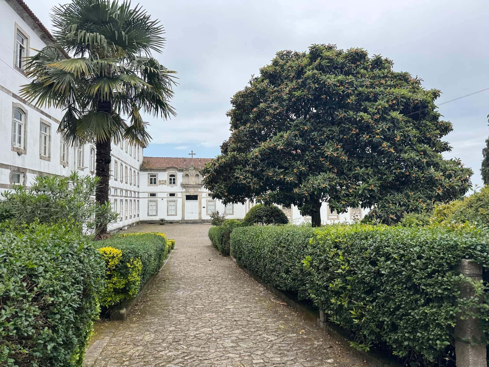 Path leading to a lush green courtyard with a palm tree on the left and a regular tree on the right with the monastery with municipal albergue in the back in Vairão along the Camino Portugués.