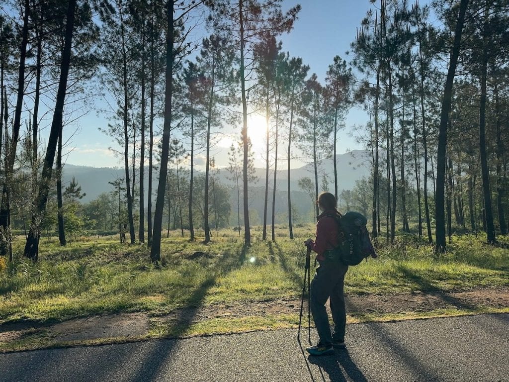 Mikala standing on a road alongside a forest looking away from the camera towards the sun and mountains in the distance. This was taken after leaving Mos on the Central route where there were fewer pilgrims around.