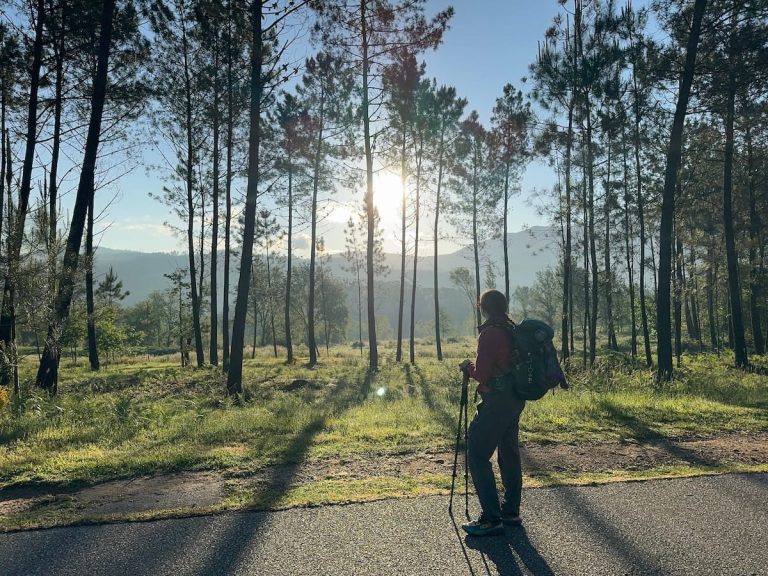 Mikala standing on a road alongside a forest looking away from the camera towards the sun and mountains in the distance. This was taken after leaving Mos on the Central route where there were fewer pilgrims around.