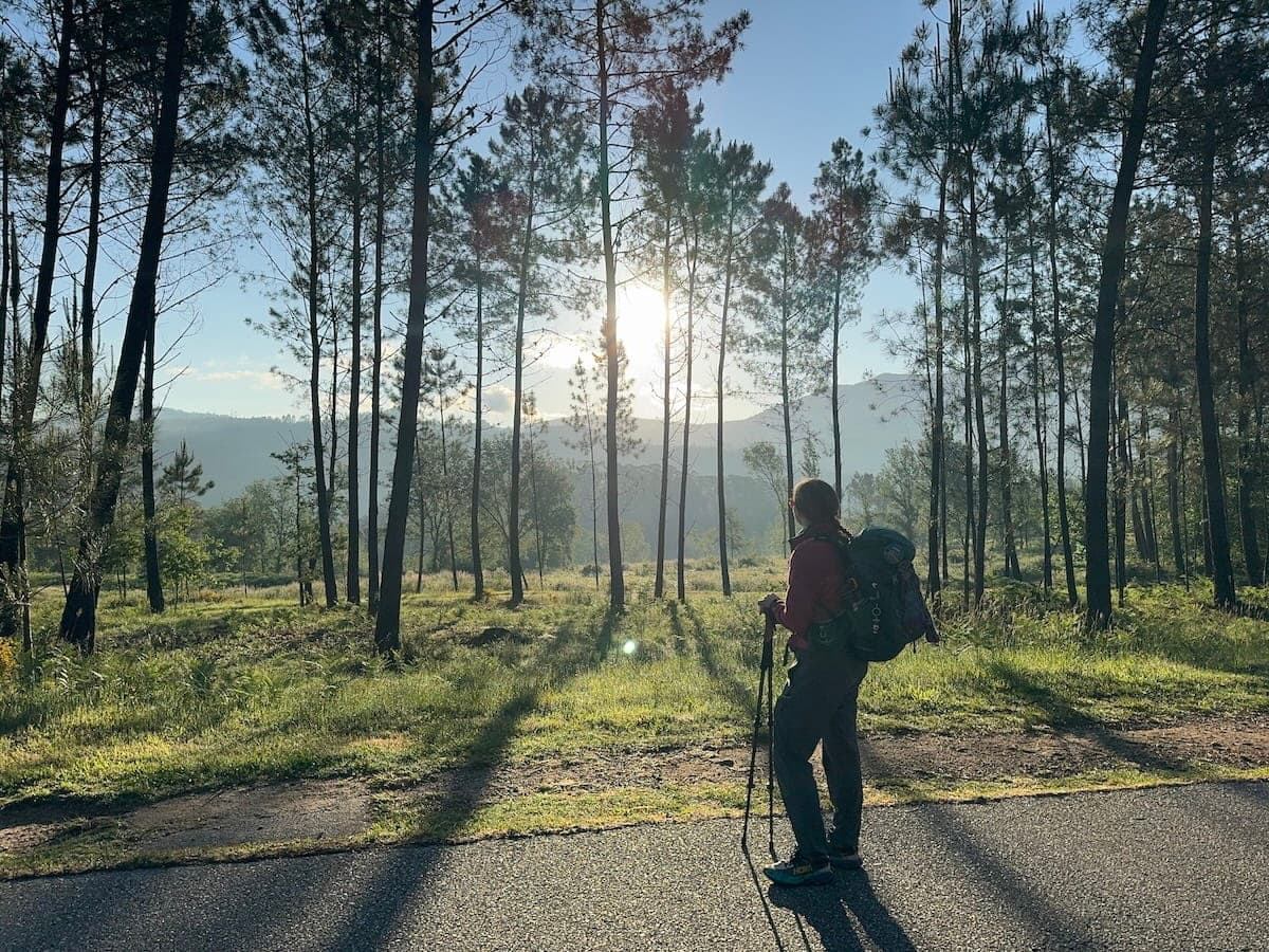 Mikala standing on a road alongside a forest looking away from the camera towards the sun and mountains in the distance. This was taken after leaving Mos on the Central route where there were fewer pilgrims around.