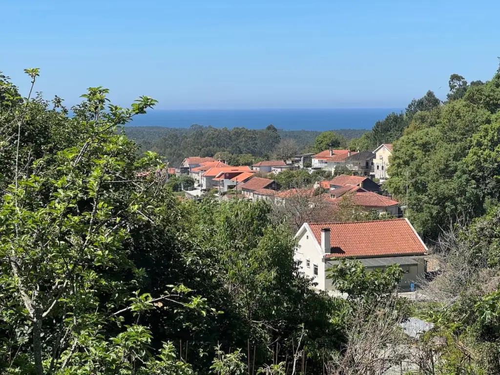 View of a village down below with the ocean in the distance and trees all around the buildings.