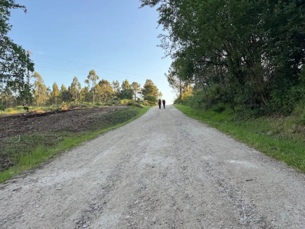 Steep hill on a gravel road with two pilgrims in the distance and trees on the right side on the Camino Portugués on the last day to Santiago de Compostela.