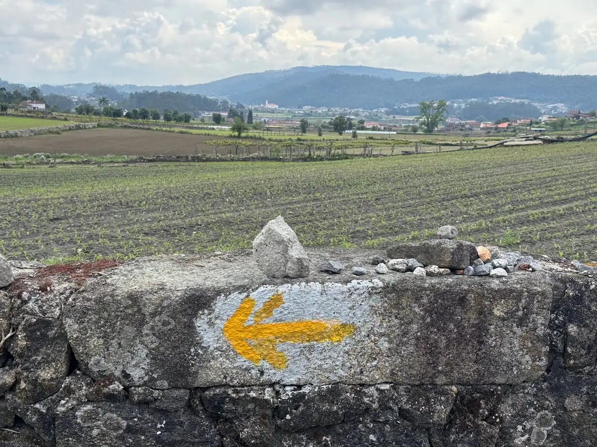Yellow arrow pointing left on a stone wall with a vineyard in the background and mountain in the distance.