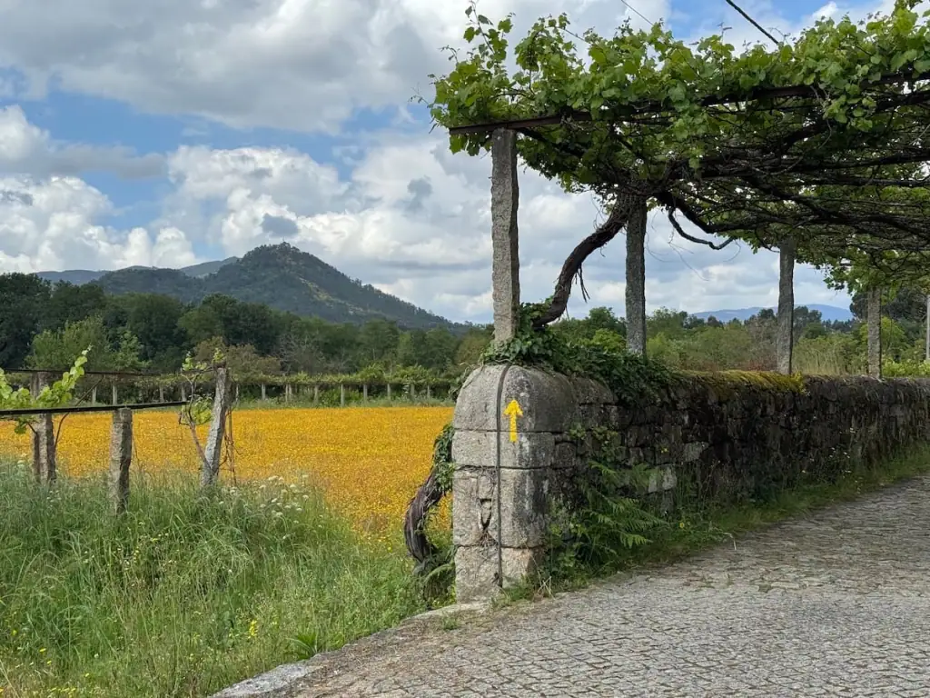 Yellow arrow on a stone wall pointing the way ahead underneath a trellis with vines and yellow flowers and a mountain in the background.