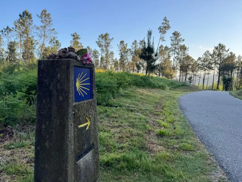 Camino de Santiago trail marker with shell and arrow pointing right to the road on the Camino Portugués Central route with trees in the distance.