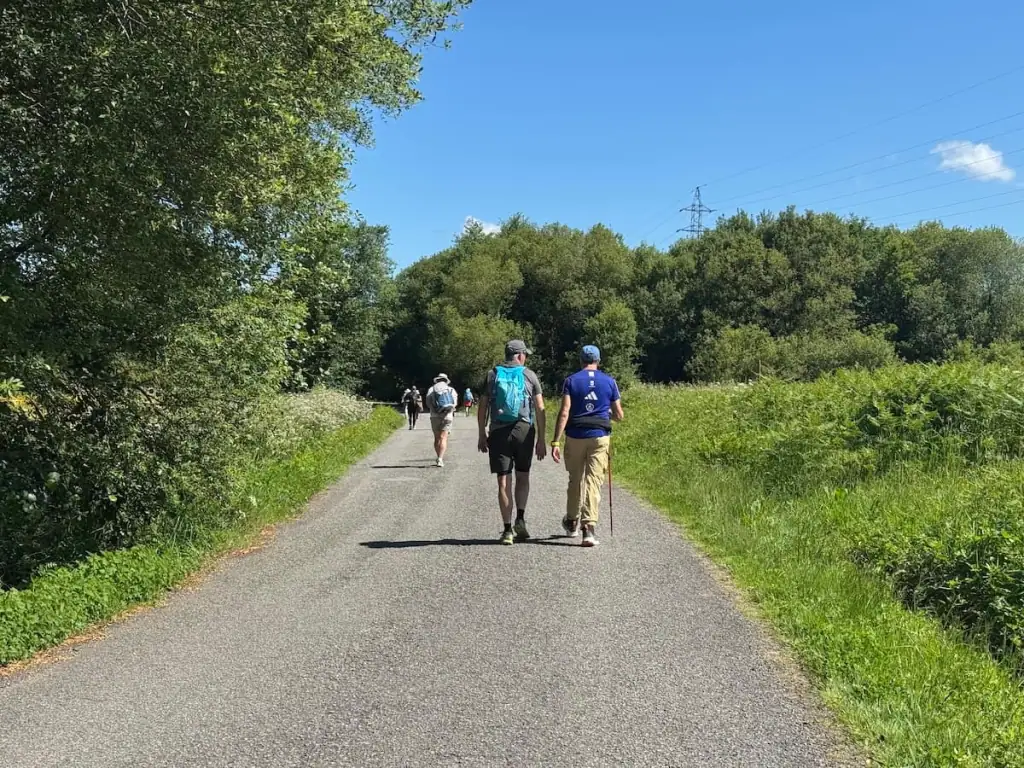Paved road on the Camino Portugués Central alongside some green grass with trees on the left and in the distance ahead with several pilgrims walking.