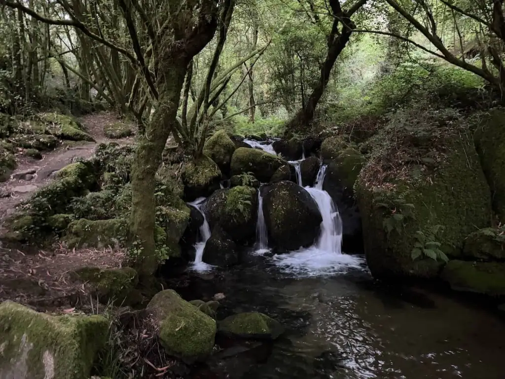 Dark forest with a waterfall feeding into a stream and a the Ruta de la Piedra y del Agua next to it. The Camino Spiritual Variant follows this path leading out of Armenteira.