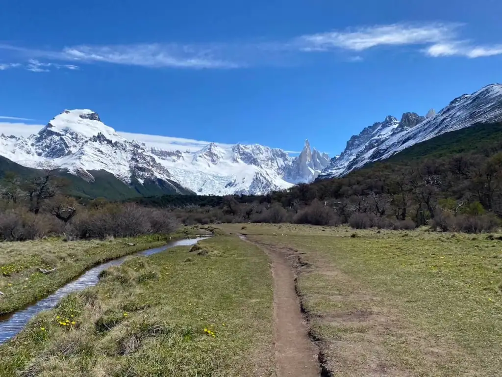 A narrow dirt trail winds through a valley with wildflowers and leads toward the snowy mountains and glaciers of Patagonia on the Laguna Torre hike outside of El Chaltén.
