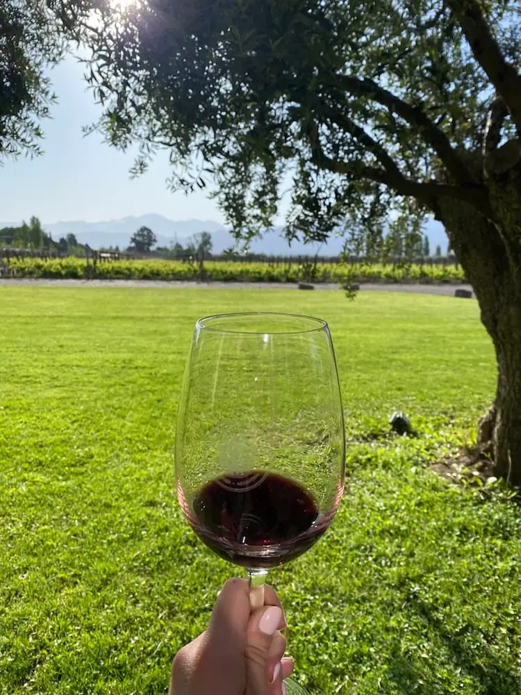 Close-up of a hand holding a glass of red wine in front of a sunlit vineyard at Bodega Vistalba with distant mountain views. Any visit to Mendoza requires touring a number of different vineyards like this.