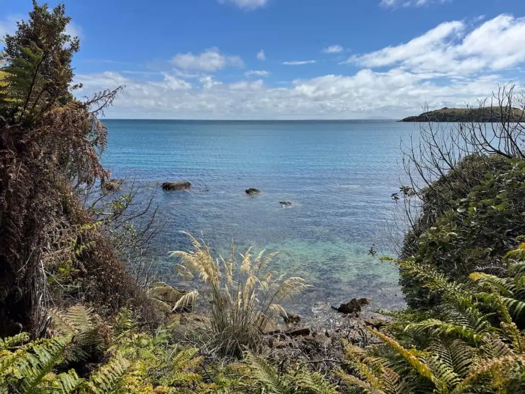 Clear blue water laps against a rocky shoreline alongside the Rakiura Track and is framed by ferns and coastal vegetation beneath a bright sky.