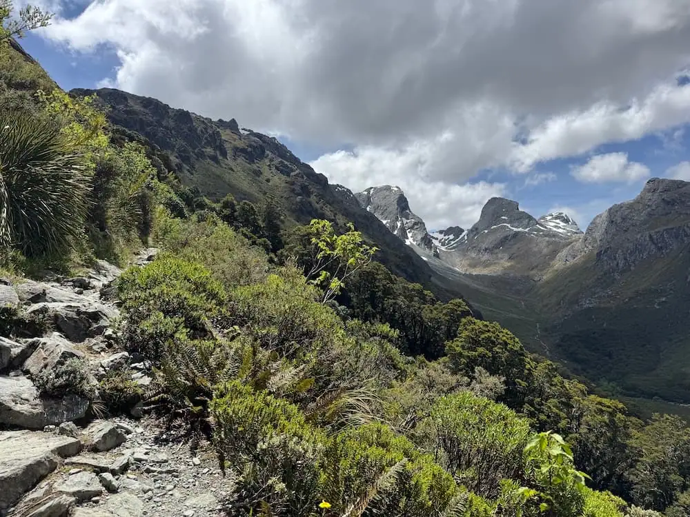 Steep rocky hiking trail climbing through alpine vegetation with jagged mountain peaks in the distance on the Routeburn Track. Patches of snow sit between steep ridges under dramatic clouds.