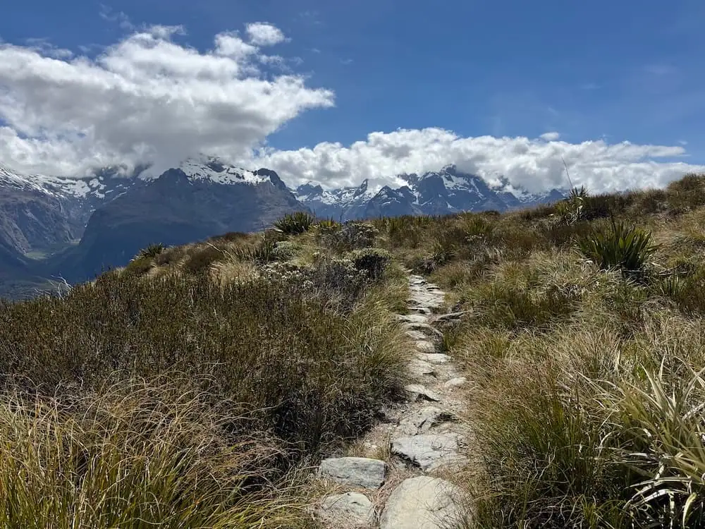 Rocky alpine trail cutting through tall grasses with snow capped mountains in the distance on the Routeburn Track. The uneven path winds across open high country beneath a bright blue sky.