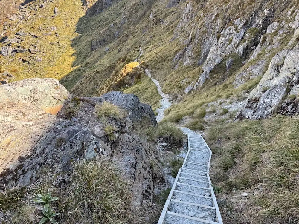Narrow mountain trail with steep rocky slopes and wooden steps carved into the hillside on the Routeburn Track. The winding path highlights the rugged terrain hikers navigate through alpine sections.
