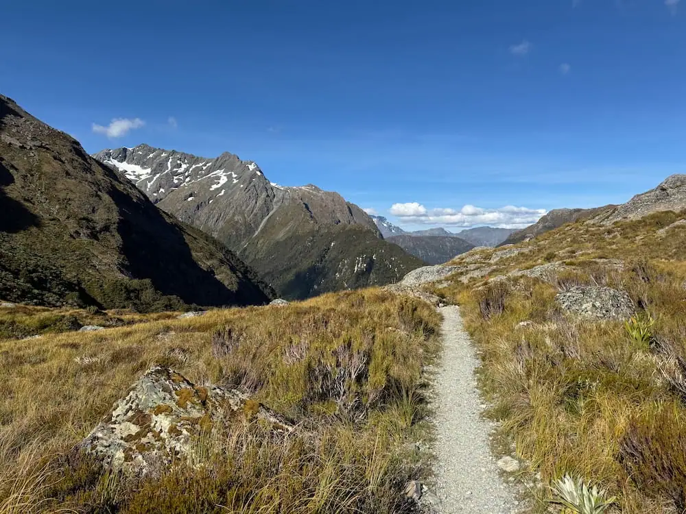 Narrow gravel path winding through golden alpine grass with steep mountain ridges in the distance on the Routeburn Track. Clear blue skies and open views highlight the exposed high country section of the hike.