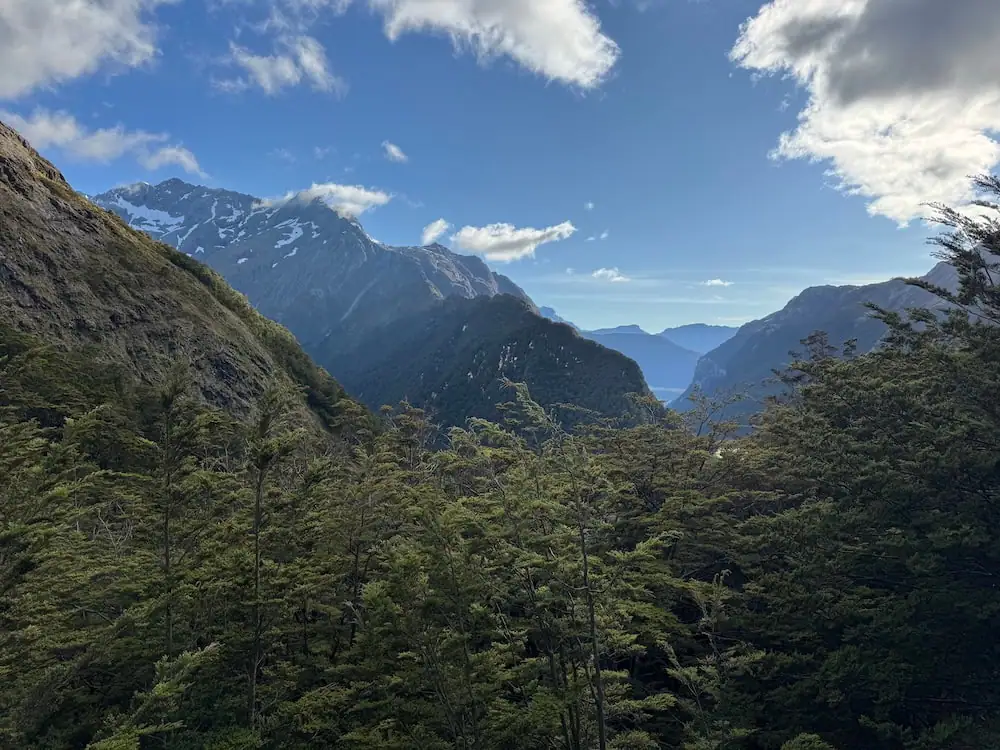 Forested mountain valley with snow capped peaks rising in the distance along the Routeburn Track. Soft afternoon light filters through clouds above dense green trees.