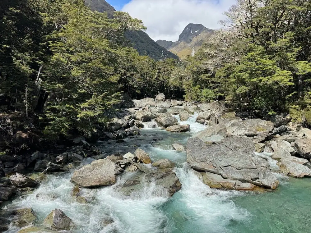 Fast moving river rushing over large rocks beneath forested mountains on the Routeburn Track. Pale turquoise water winds through the rocky landscape framed by dense trees and steep peaks.