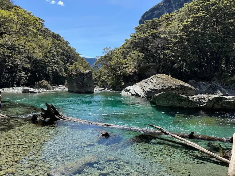 Crystal clear turquoise river flowing between large boulders and forest along the Routeburn Track. Fallen logs rest near the water, showing the vivid color and clarity of the mountain stream.