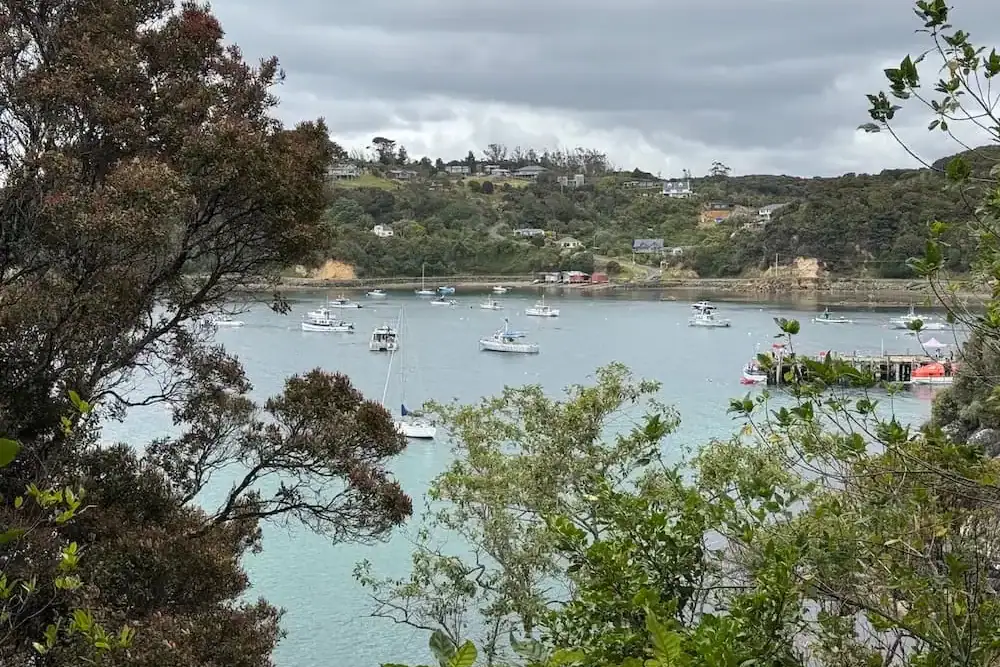 Boats float in a sheltered Halfmoon Bay framed by native trees, with hillside homes overlooking the water under dark clouds. Wandering around Oban's waterfront is one of the relaxing things to do on Stewart Island.