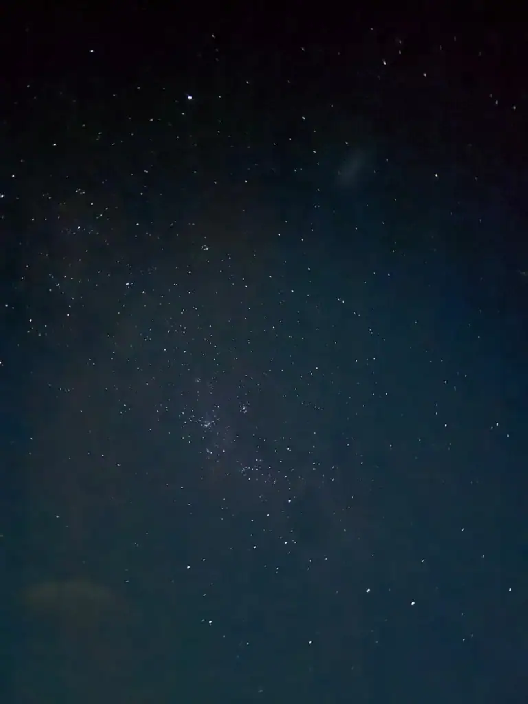 A star-filled night sky stretches overhead with faint green bands of aurora creating a soft glow across the darkness. The photo captures the atmosphere of the kiwi spotting portion of this Stewart Island kiwi tour, where visitors spend time outdoors after sunset.