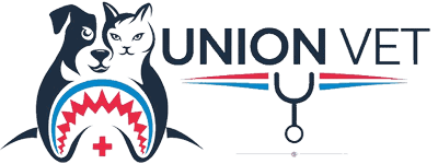 Union Vet NY
