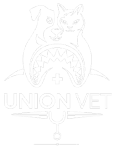 providing quality veterinary care in oakland gardens