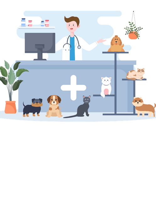 Surgery Routine, Emergency, & Orthopedic