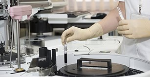continuous education and technological advancements to improve veterinary care