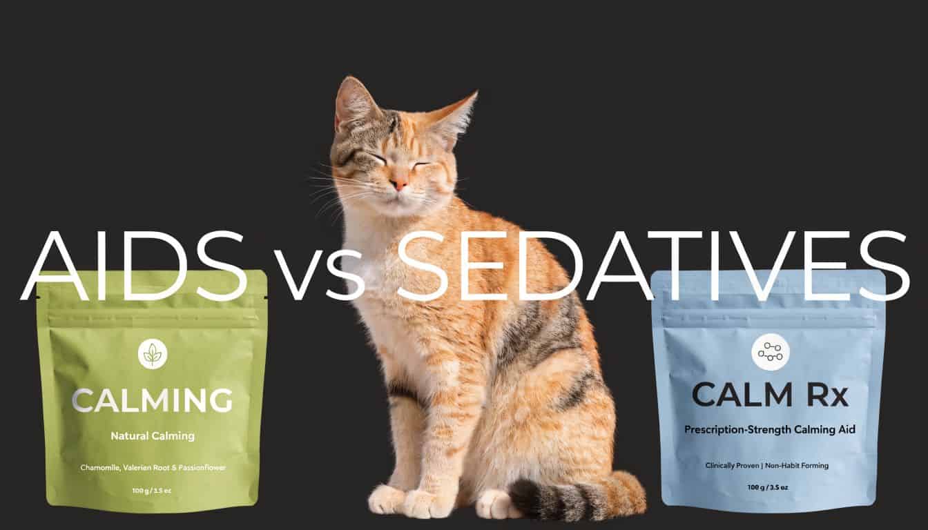 A calm cat sitting between two bags of products, representing natural calming aids and prescription sedatives.