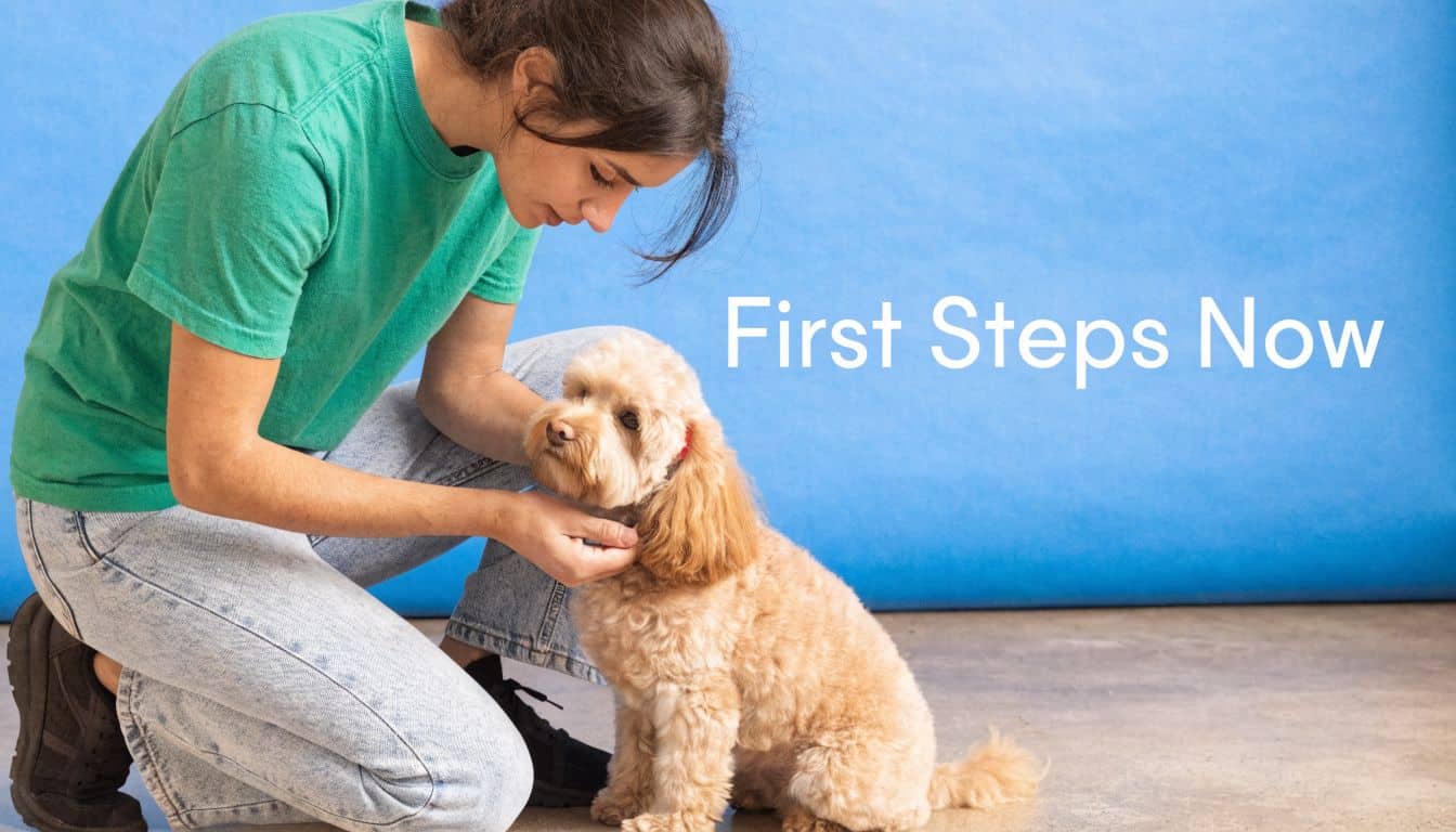 A young woman in a green t-shirt kneeling on the floor, gently petting a cute tan dog.