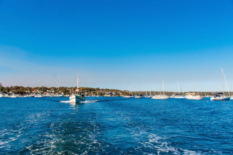 Property Profile And Average Rents Rose Bay