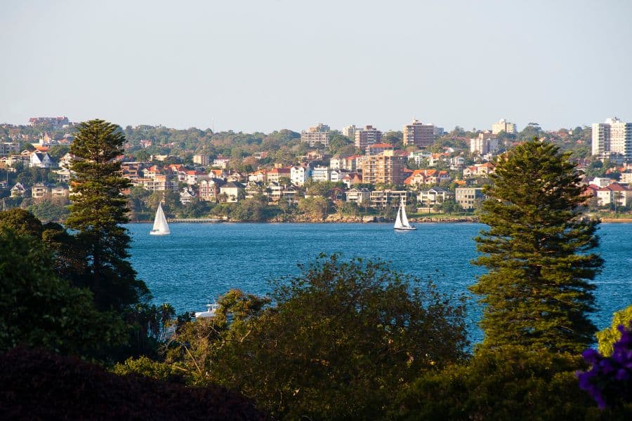 Sydney Harbour view with sailing boats, waterfront homes, and pine trees.