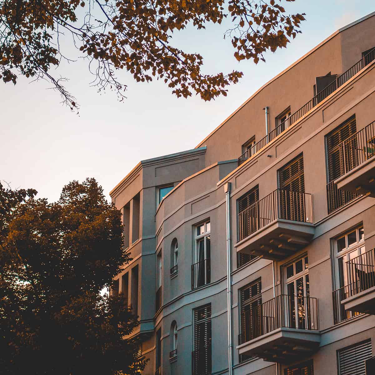 Typical Rentals You’ll See