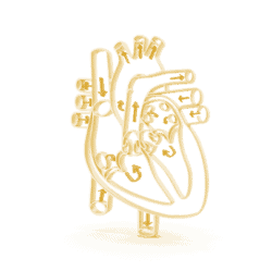 Cardiologist icon