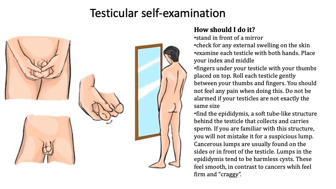 Image Testicular Self Examination