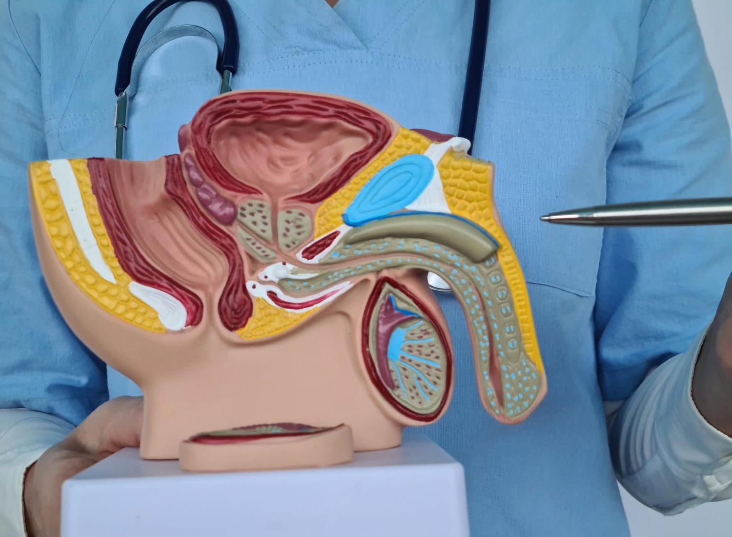 What does the operation for Peyronie's disease entail?