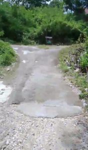 Jalan berbatu dan tidak rata di area perkotaan yang alami dan hijau.