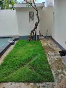 Kolam privat dan taman hijau di villa 2 kamar dekat destinasi wisata.