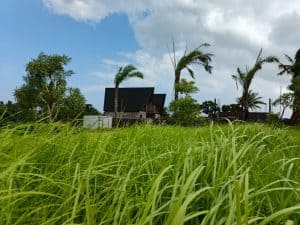 Villa Baru Leasehold 25 Tahun dengan pemandangan sawah dan laut dekat Pantai Kelecung.