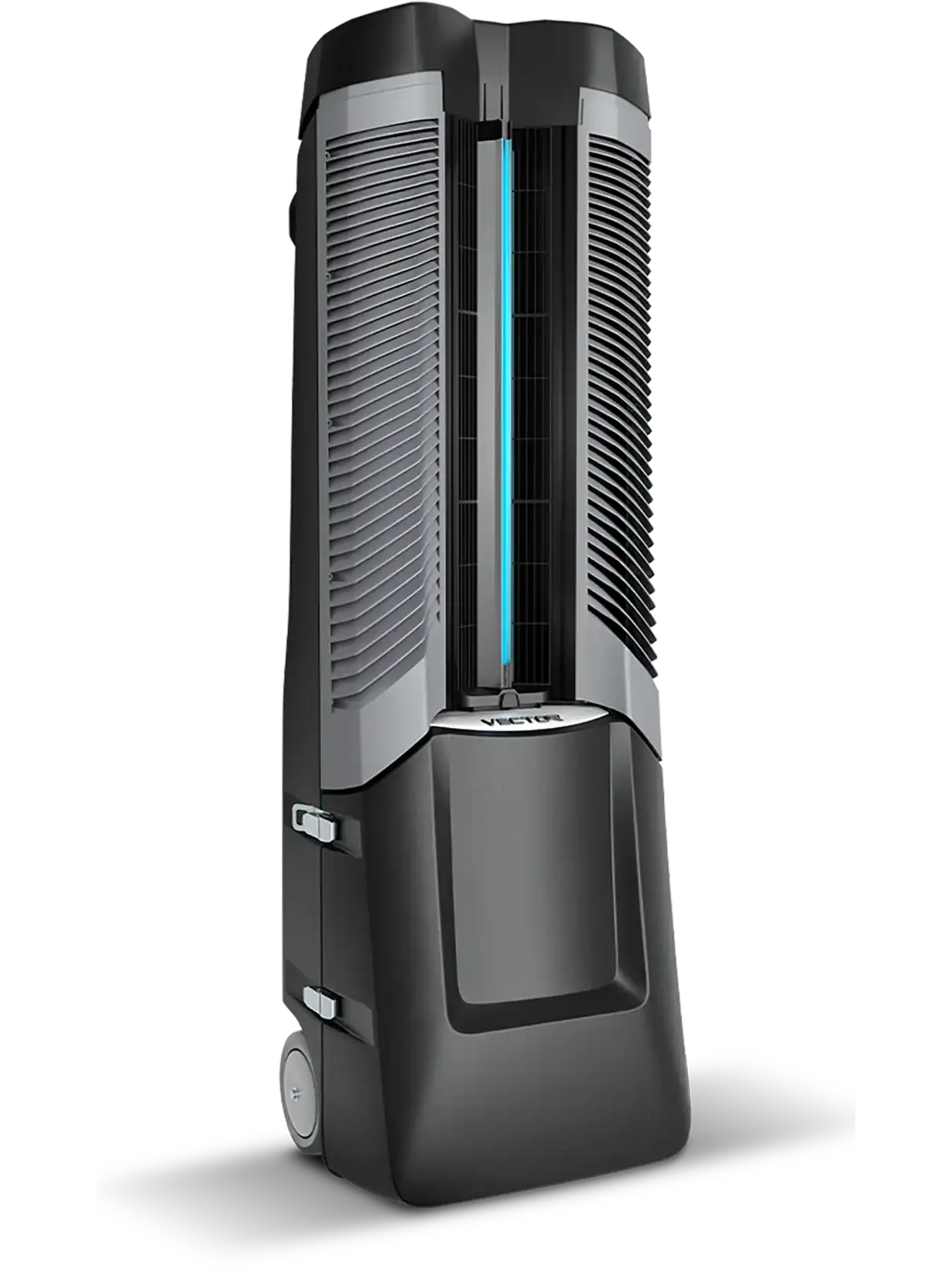 Vector