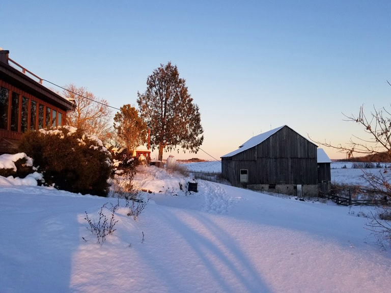Bed Yoga Breakfast Vegan